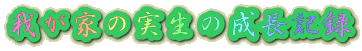 �䂪�Ƃ̎����̐����L�^